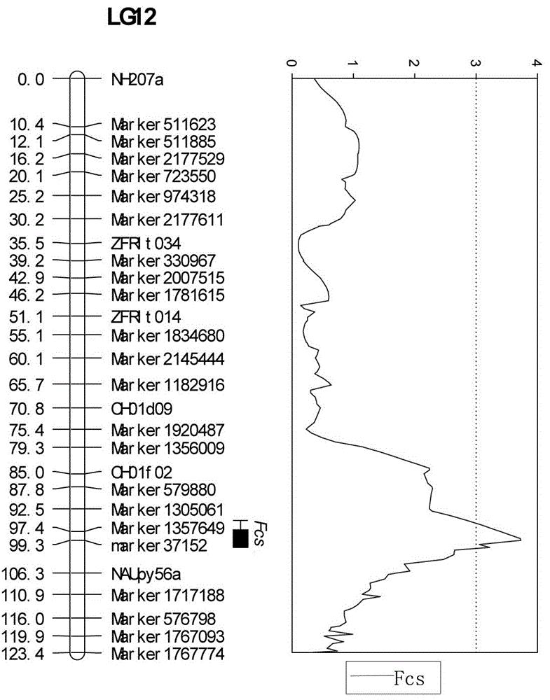 梨果心大小主效QTL位点的分子标记Marker37152及其引物对和应用