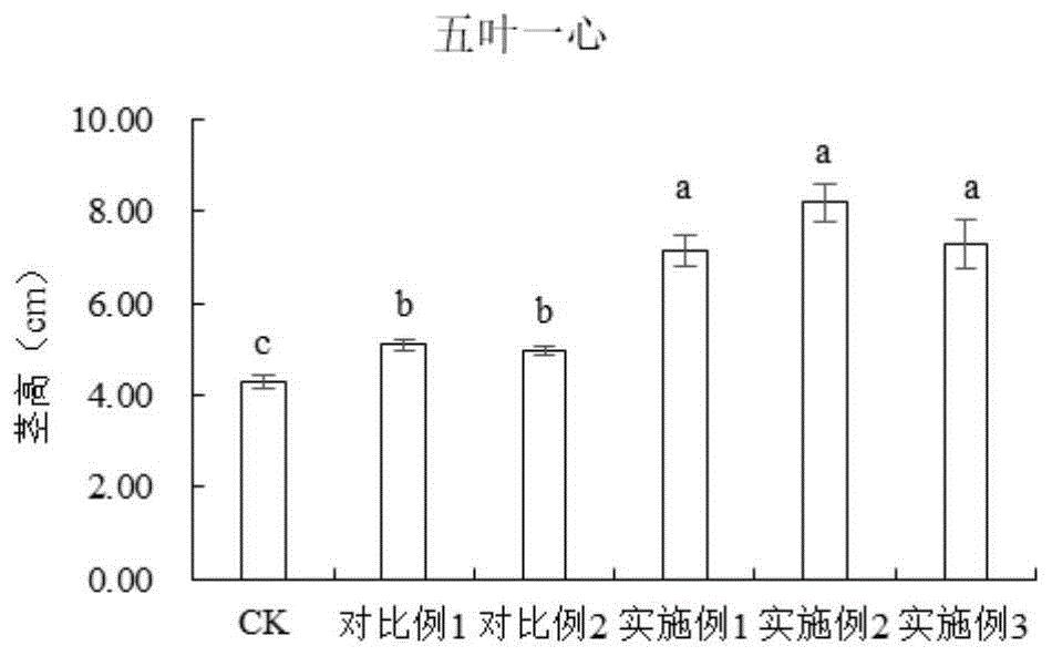 一种烟草育苗菌剂及其制备方法与应用