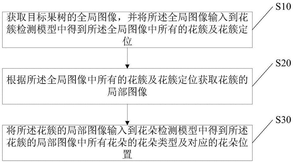 果树花朵的识别及位置获取方法、装置、计算机设备及存储介质