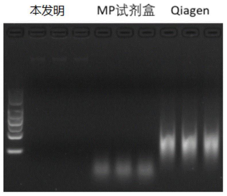 用于高通量测序的微生物饲料添加剂的核酸提取方法