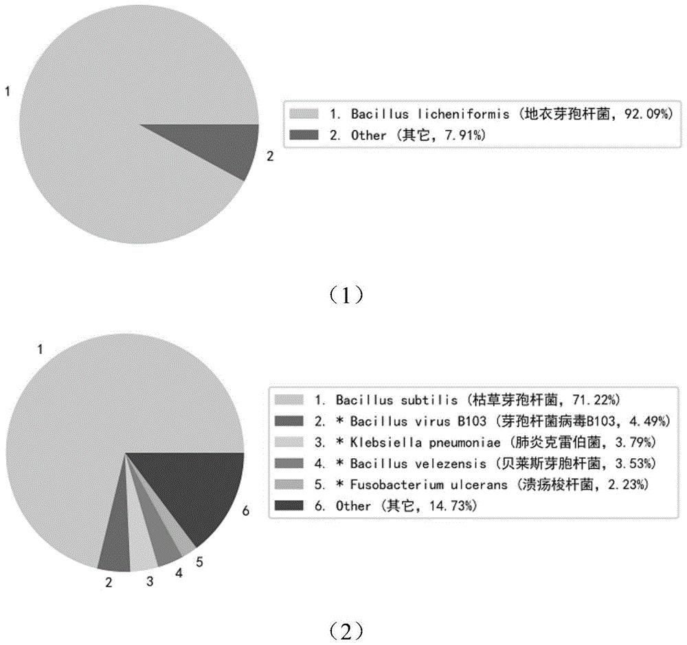 饲用微生物产品中菌种及风险基因的高通量检测方法