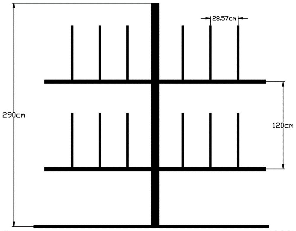 一种梨树“四臂篱架形”树形及整形方法