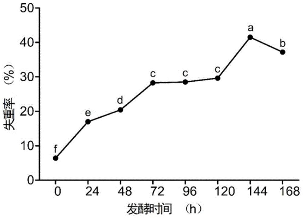 一株贝莱斯芽孢杆菌及其在羽毛降解中的应用