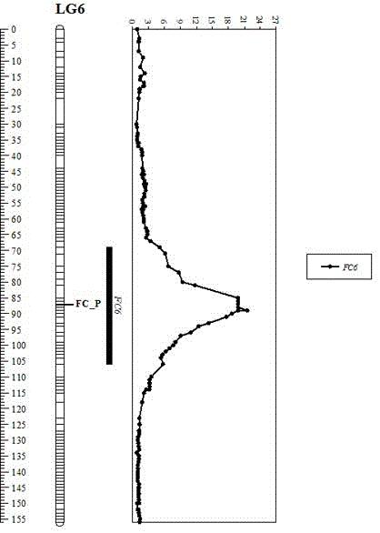 西瓜肉色性状主效基因位点及其InDel分子标记和应用