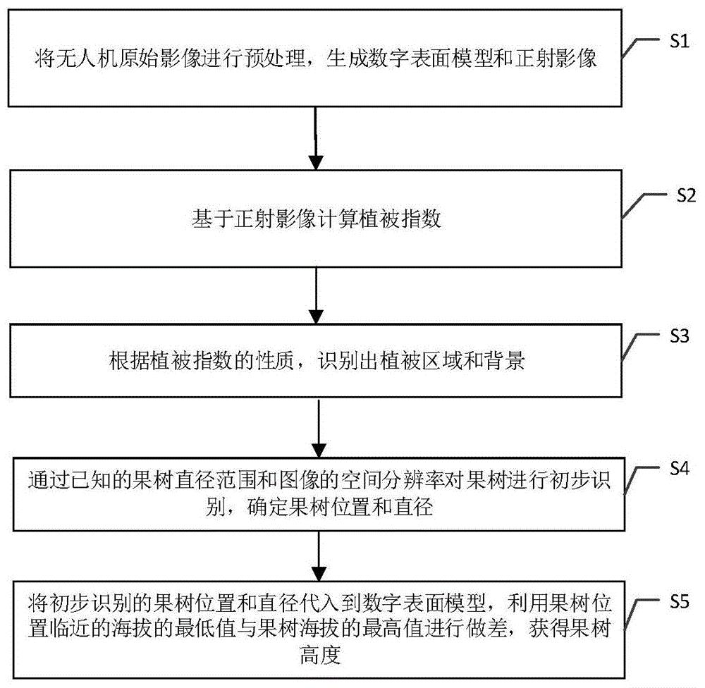 一种利用无人机影像进行果树识别和计数的方法和系统