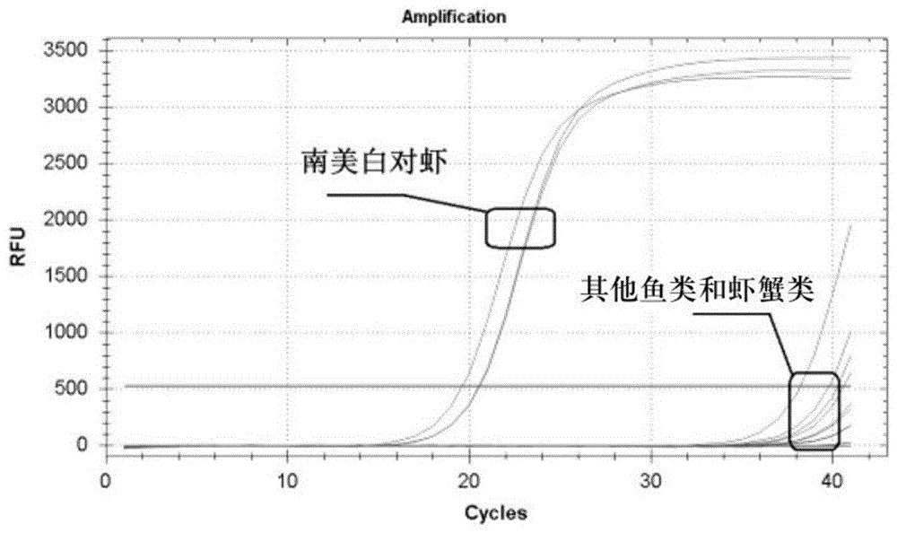 一种PCR检测鱼粉中南美白对虾源性成分的方法