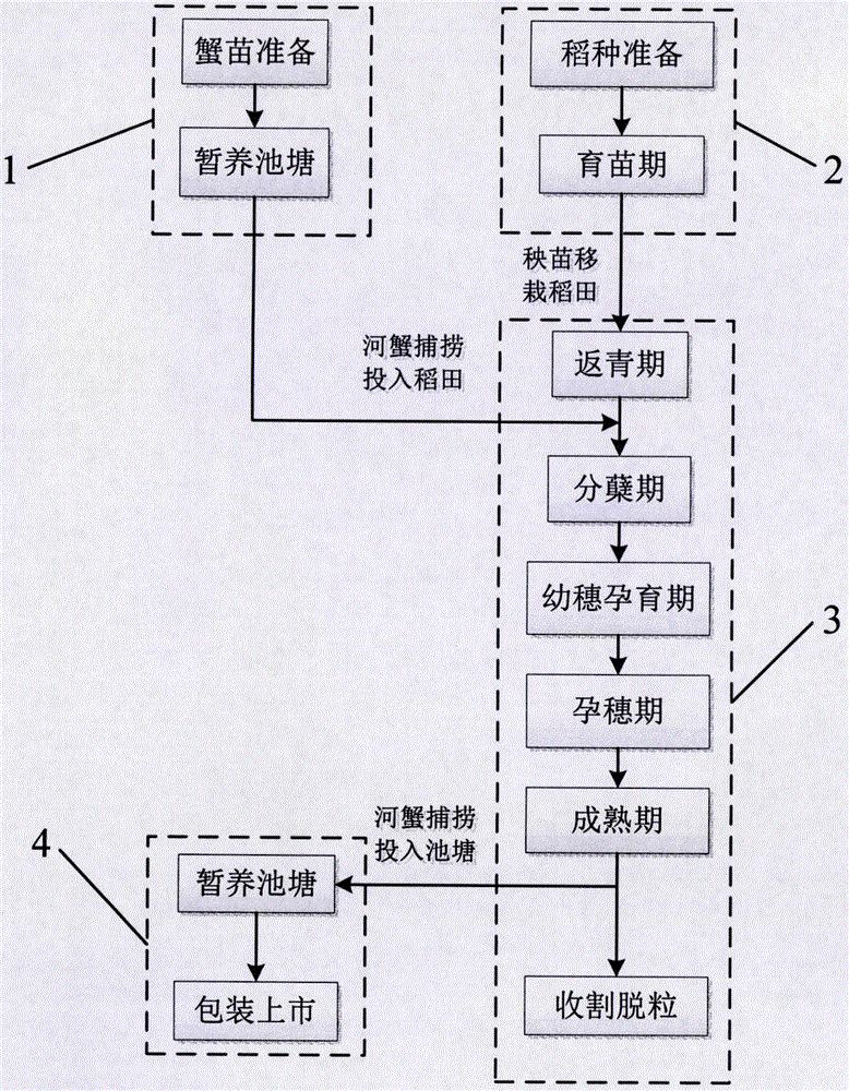 一种利用稻蟹共作防控农田面源污染的方法