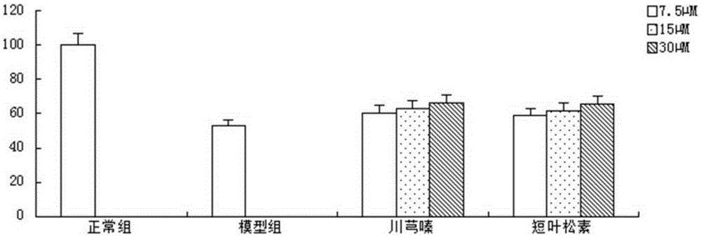 短叶松素在制备预防脑缺血性损伤制剂中的应用