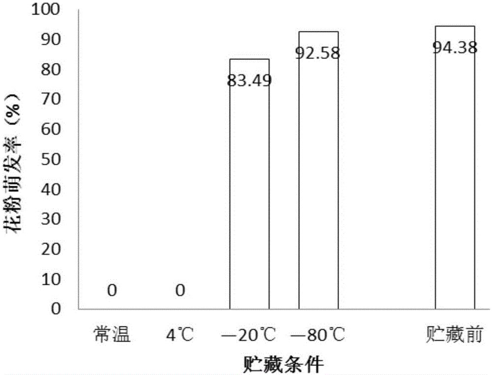 一种软枣猕猴桃花粉贮藏及离体培养活力检测方法
