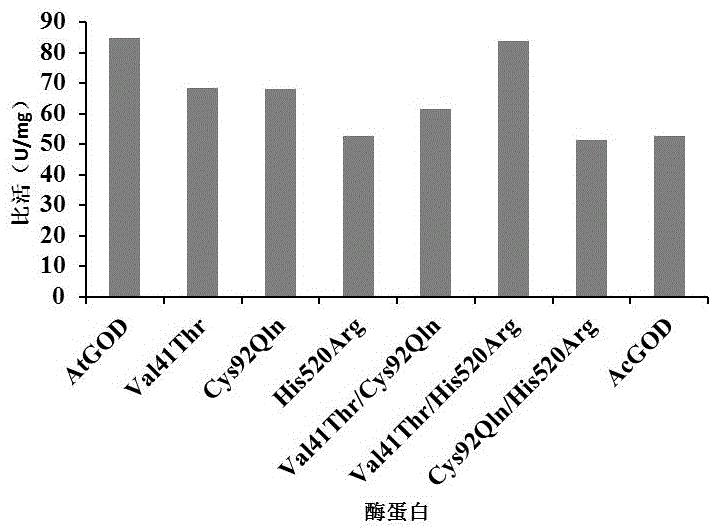 一种超耐热葡萄糖氧化酶AtGOD及其基因和应用