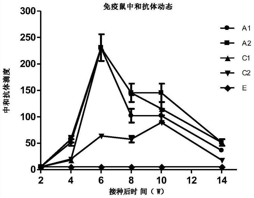 表达O型口蹄疫病毒空衣壳的重组缺损型腺病毒及其构建方法和应用