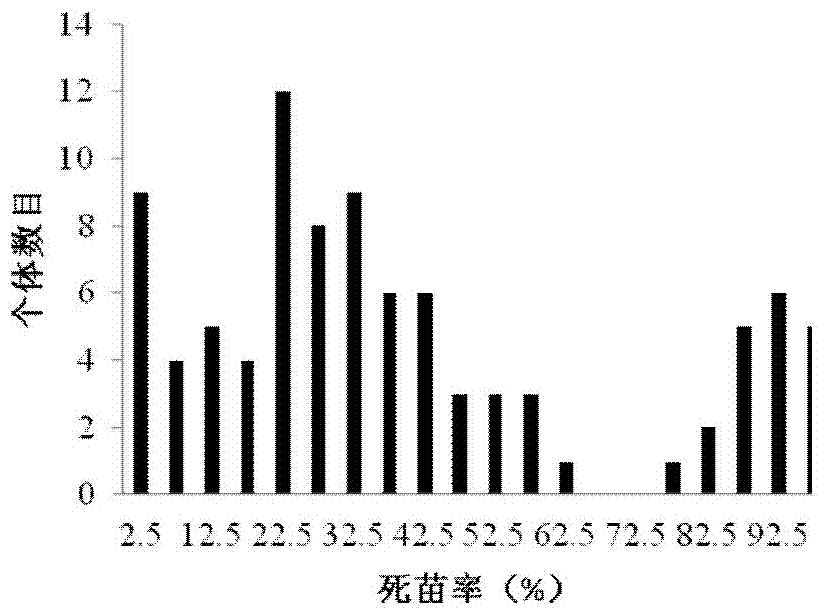鉴定西瓜枯萎病的InDel分子标记及其引物和应用