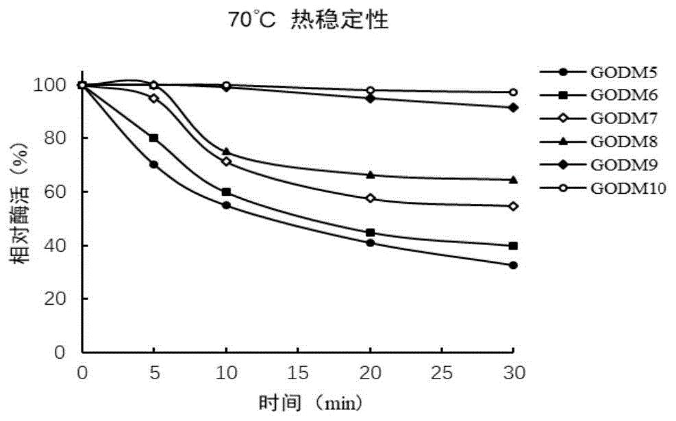 热稳定性提高的葡萄糖氧化酶突变体GOD及其基因和应用