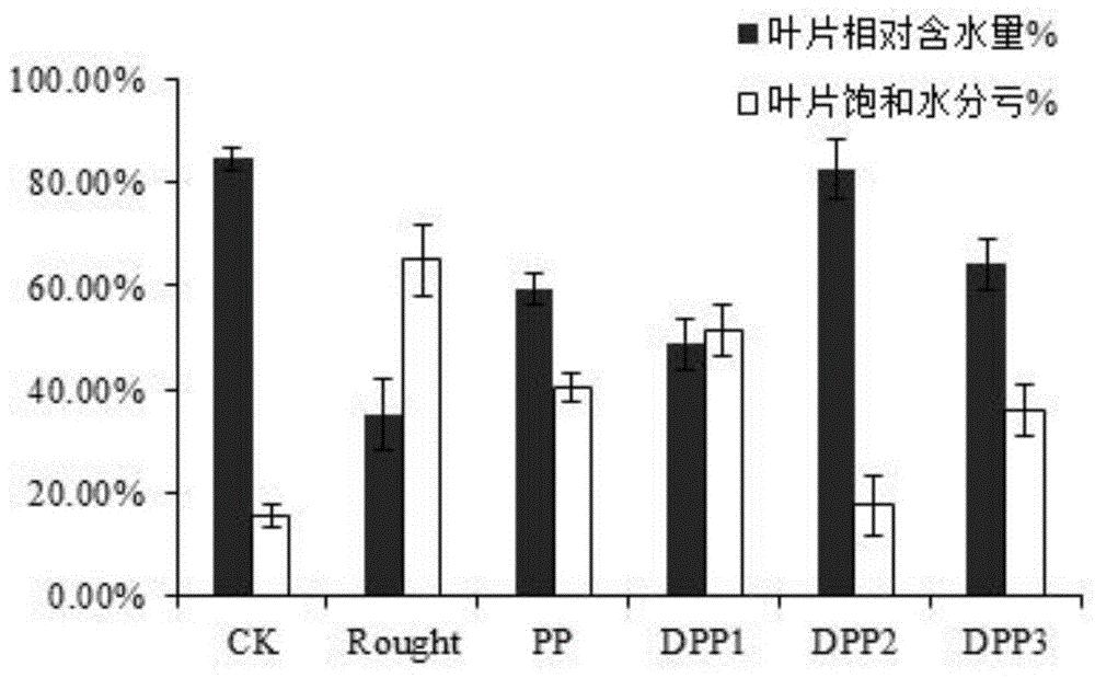 紫菜多糖在提高植物抗旱性能中的应用