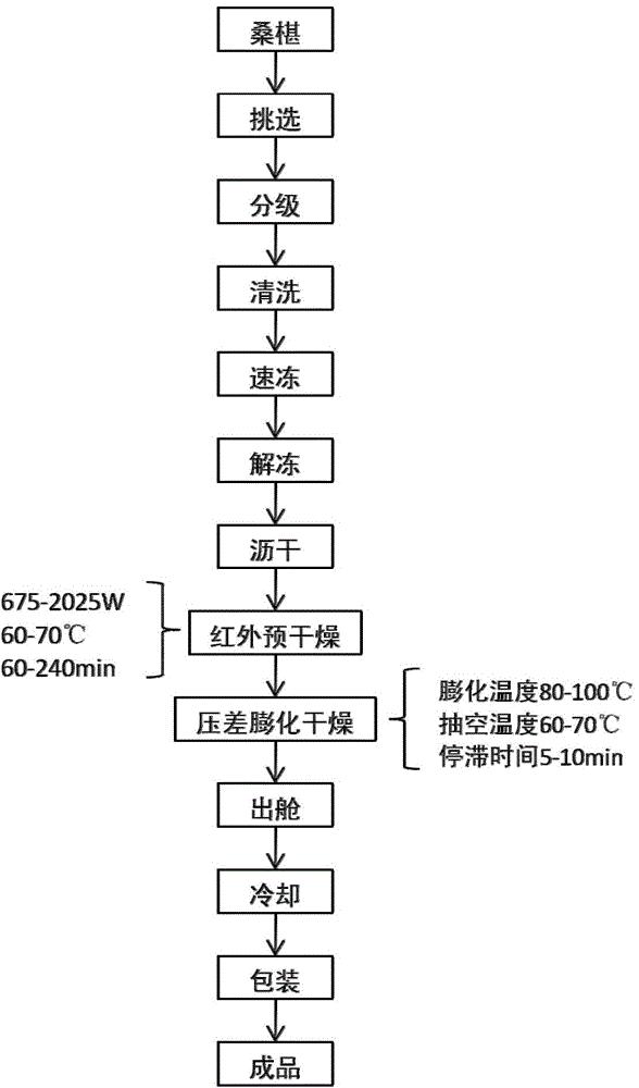 一种桑椹脆果及其制备方法