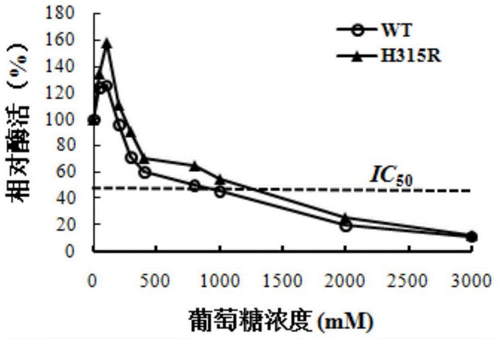 高葡萄糖耐受性β-葡萄糖苷酶突变体及其基因和应用