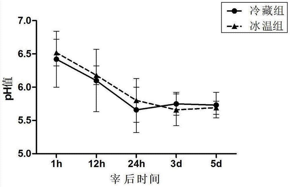一种羊肉成熟调控技术