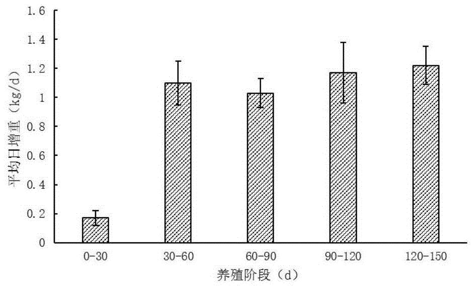 苎麻青贮饲料调制方法