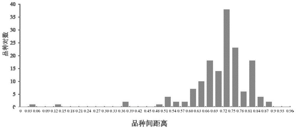 一种鉴定白化茶树品种的茶树MNP分子标记组合、方法及应用