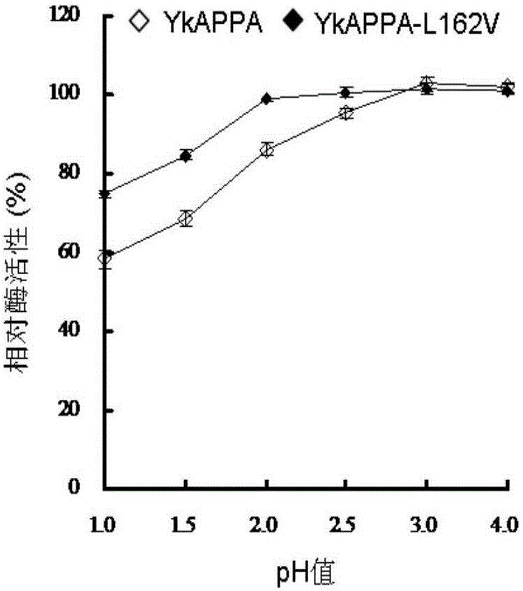 植酸酶突变体YkAPPA-L162V及其编码基因和应用