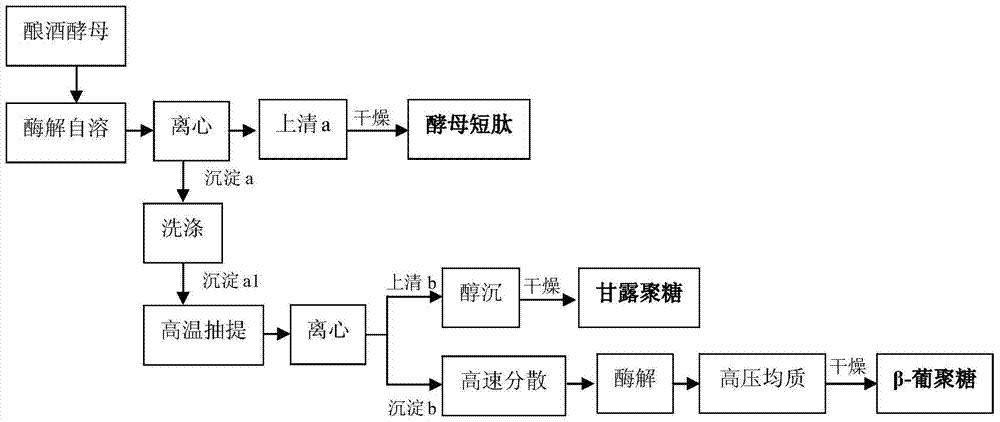 一种酵母短肽与酵母细胞壁多糖的同步制备方法