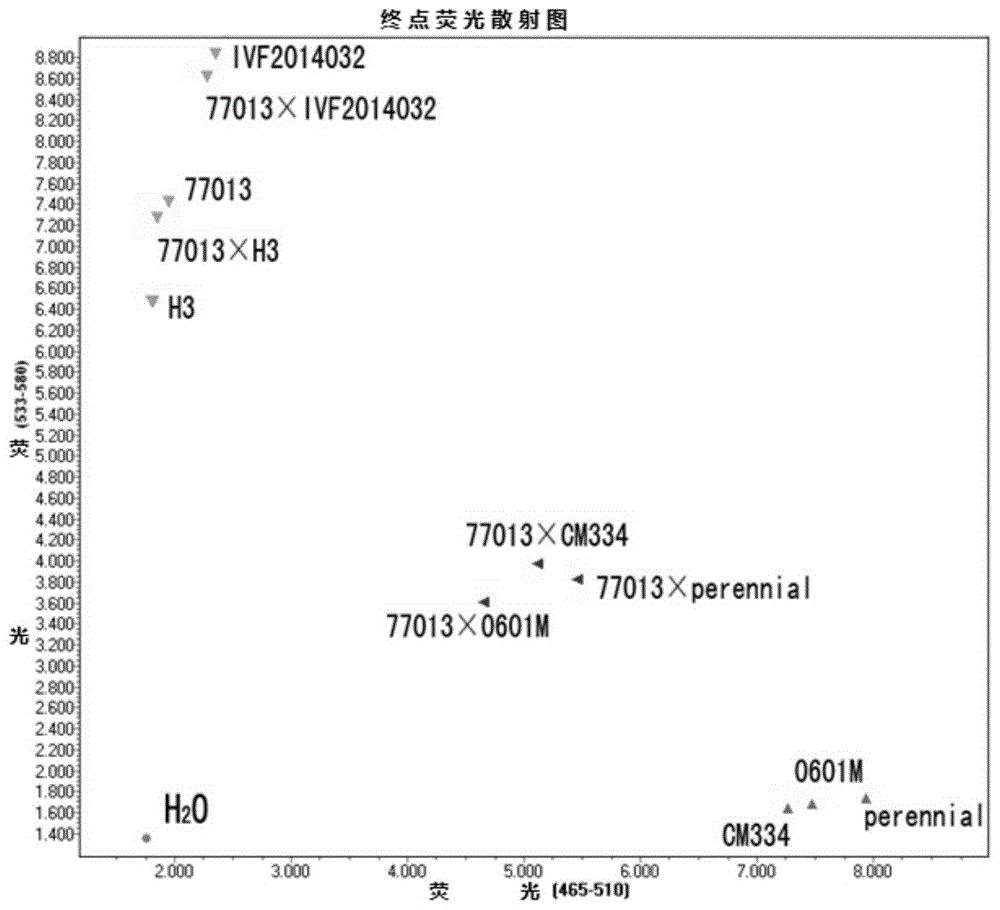 辣椒疫病抗性基因相关的SNP标记5-160及其特异性引物和应用