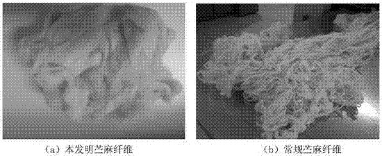 地膜用苎麻脱胶方法