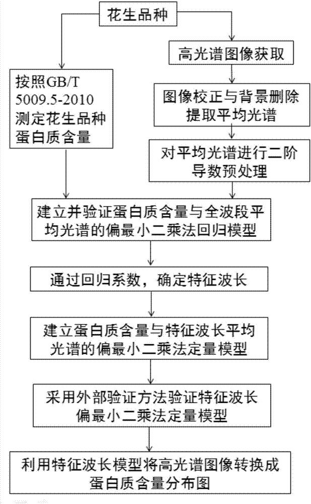 基于高光谱成像技术检测花生中蛋白质含量分布的方法
