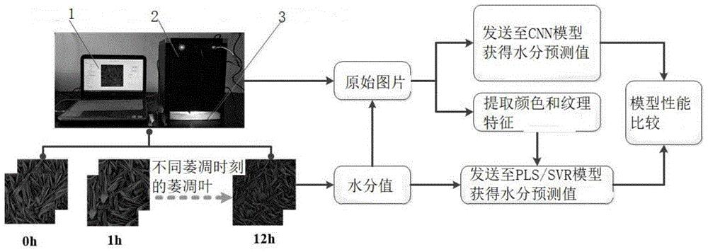 一种红茶萎凋程度指标的无损检测方法
