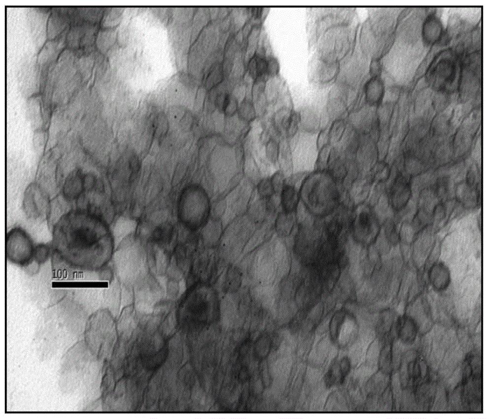 白藜芦醇纳米脂质体及其制备方法