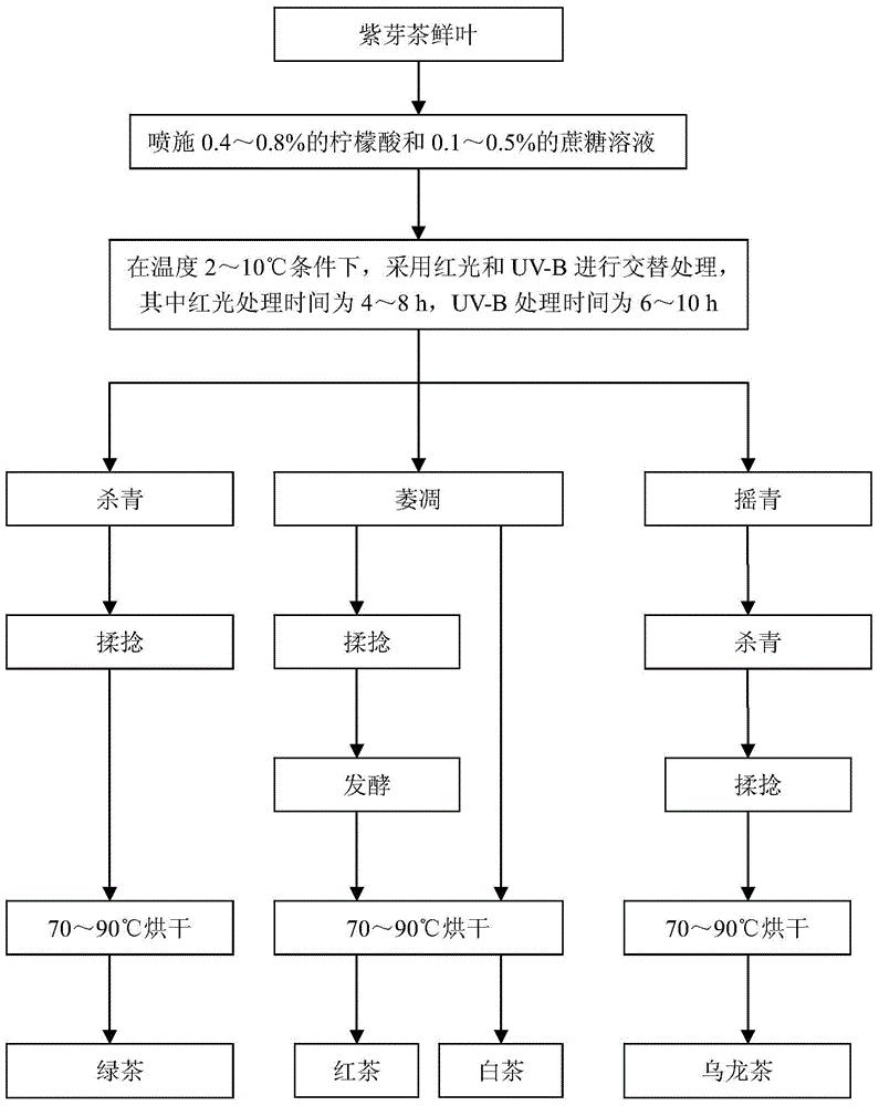 一种提高紫芽茶中花青素含量的加工方法