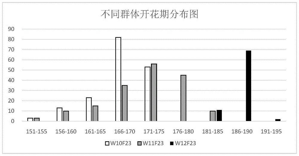 甘蓝型油菜开花期和成熟期主效QTL位点的分子标记BrSF2604引物及其应用