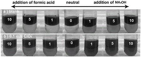 一种水、茶汤及茶叶中高氯酸盐的快速可视化检测方法