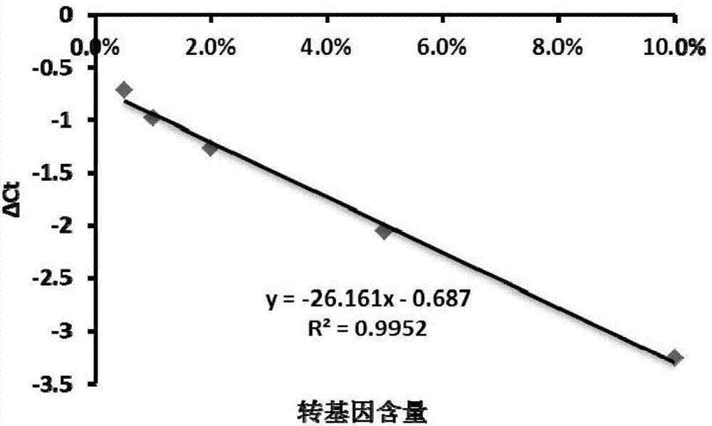 转植酸酶基因玉米或饲料中植酸酶基因的定量检测方法