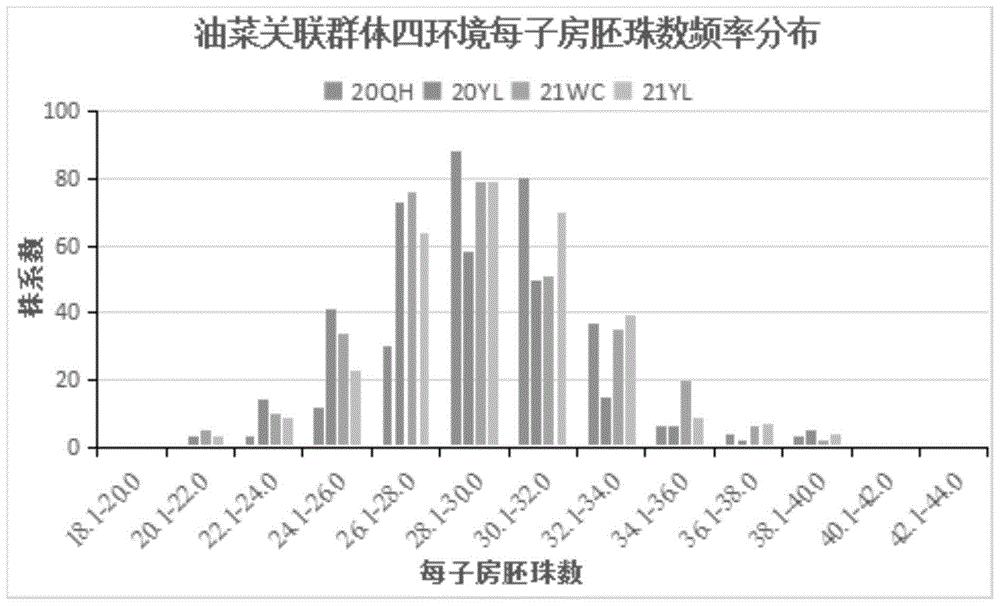 一种与油菜每子房胚珠数关联的PARMS分子标记及应用