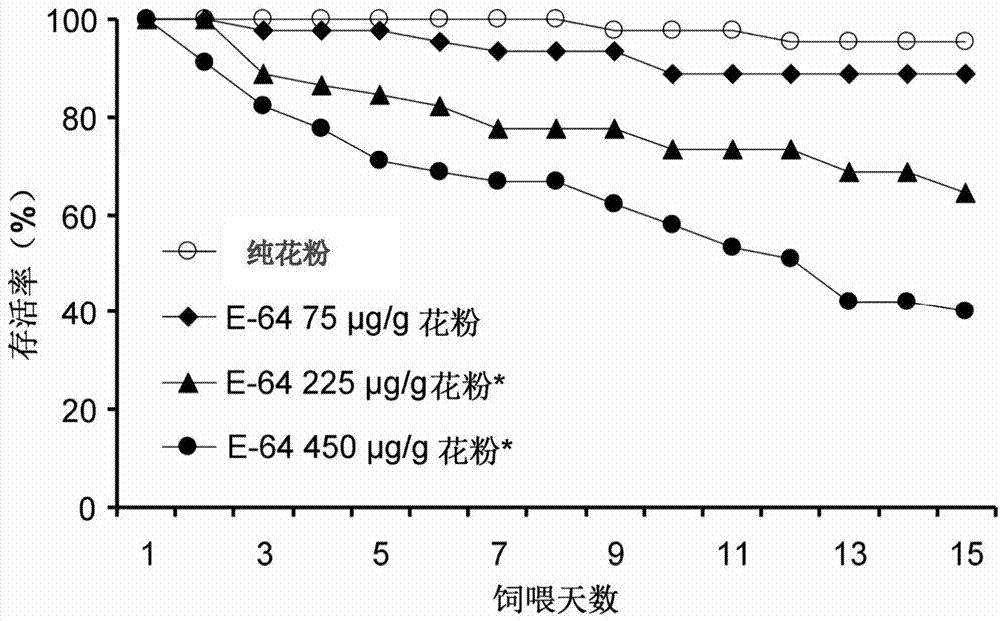 胃毒性杀虫剂或转基因杀虫蛋白对龟纹瓢虫毒性影响的测定方法
