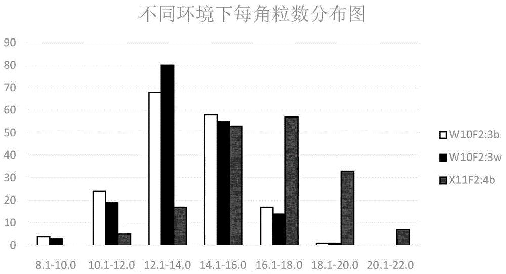 一种油菜每角粒数性状主效基因位点的分子标记引物及应用