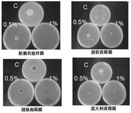 用柑橘皮制备抗真菌果胶低聚糖的方法及其应用和柑橘保鲜方法