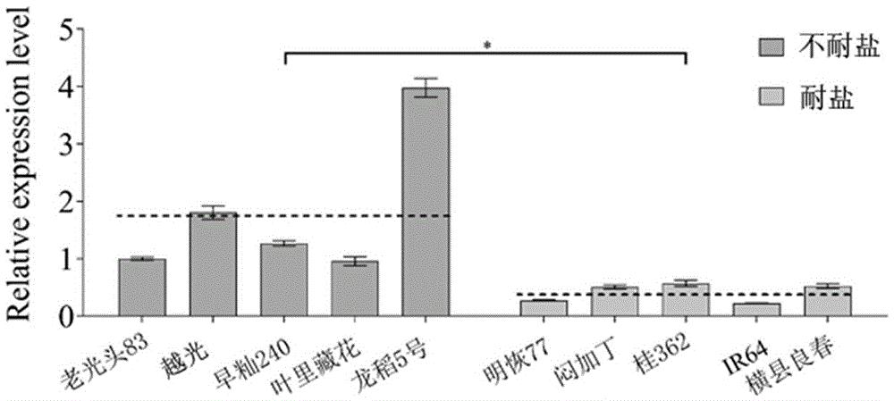 一种水稻耐盐性相关的分子标记及其应用