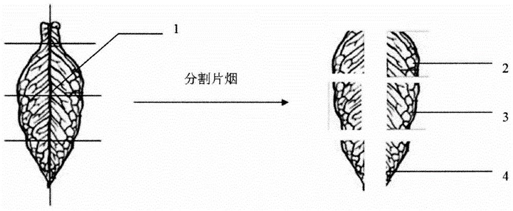 一种烟叶分割片烟烘烤方法