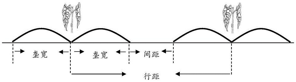一种烤烟垄膜沟栽集雨种植方法