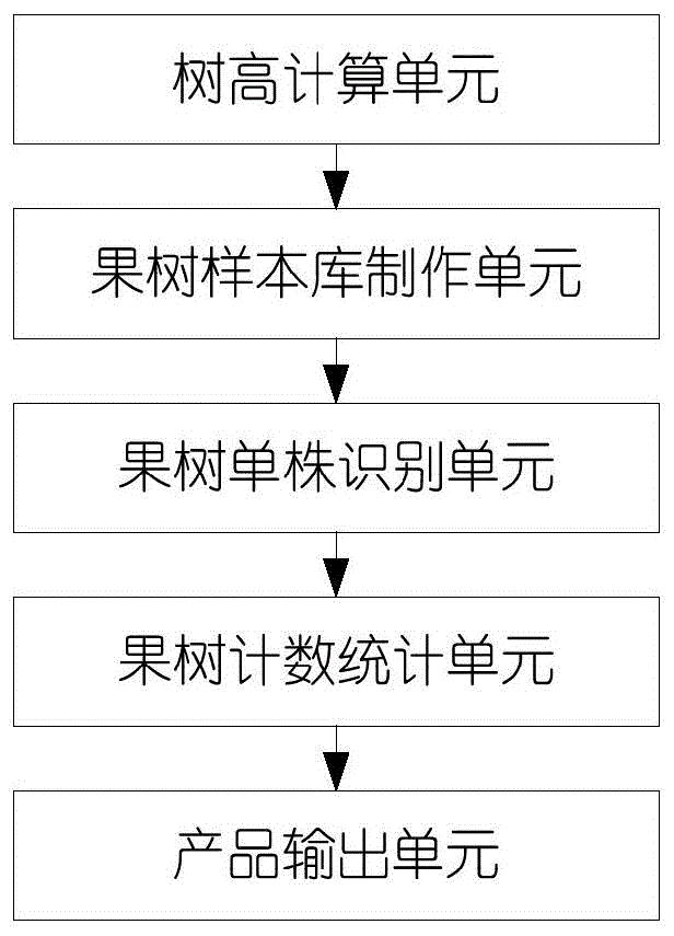一种基于无人机数据采集的果树识别和数量监测方法及系统