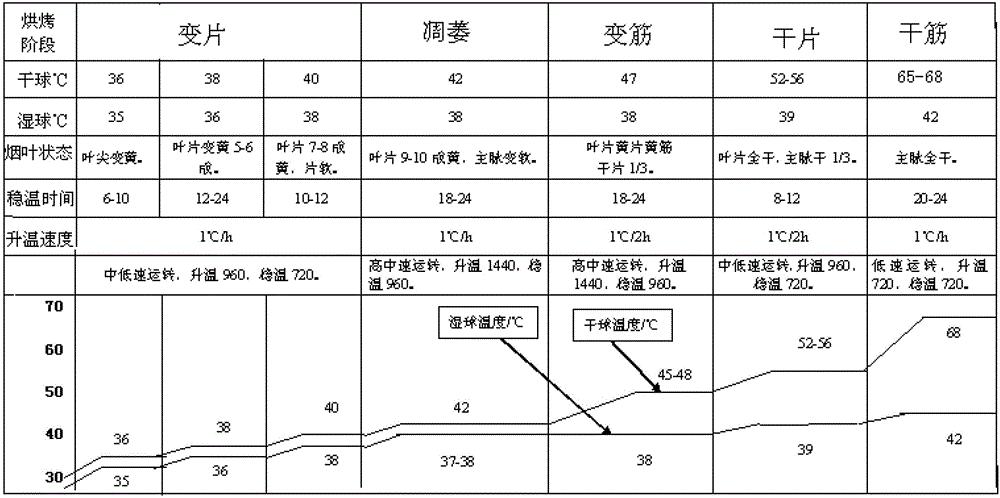 NC55烟叶品种密集烤香精准工艺