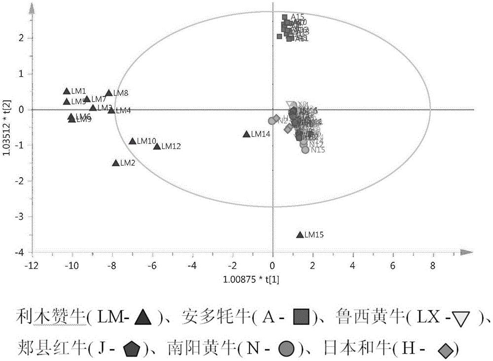 一种用于牛肉产品溯源鉴别的微卫星引物组合及其检测试剂盒