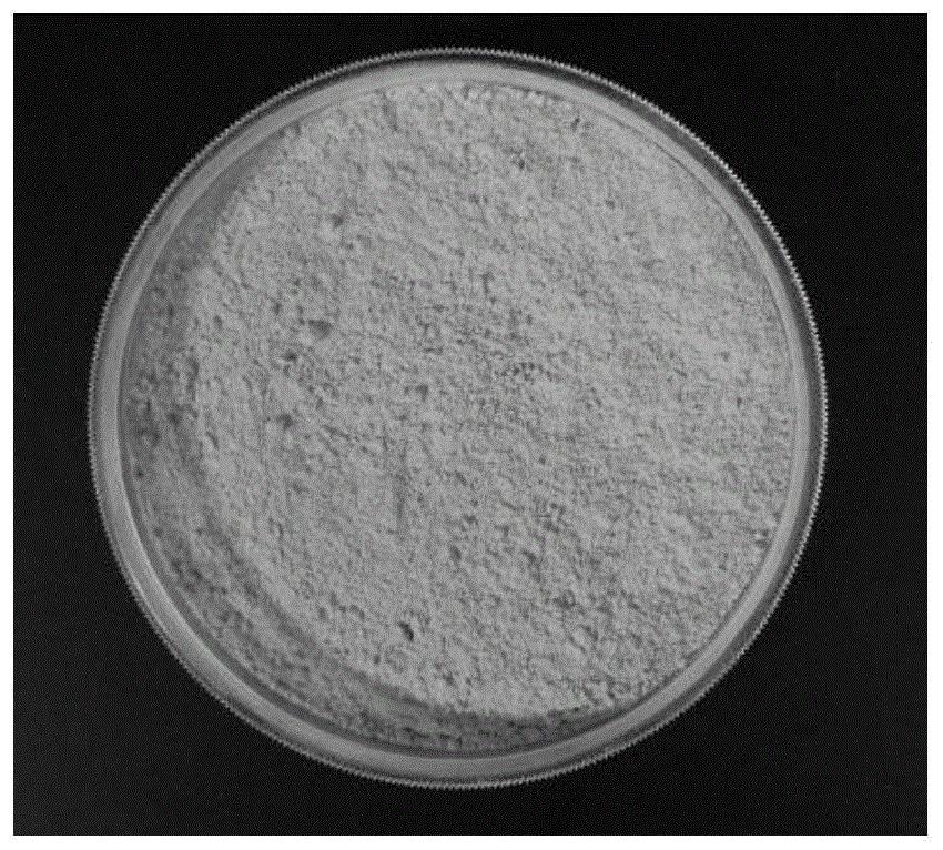 一种小麦糊粉层粉的改性方法及其产品