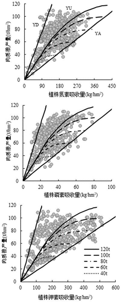 一种基于QUEFTS模型的区域化萝卜专用肥配肥与施用方法
