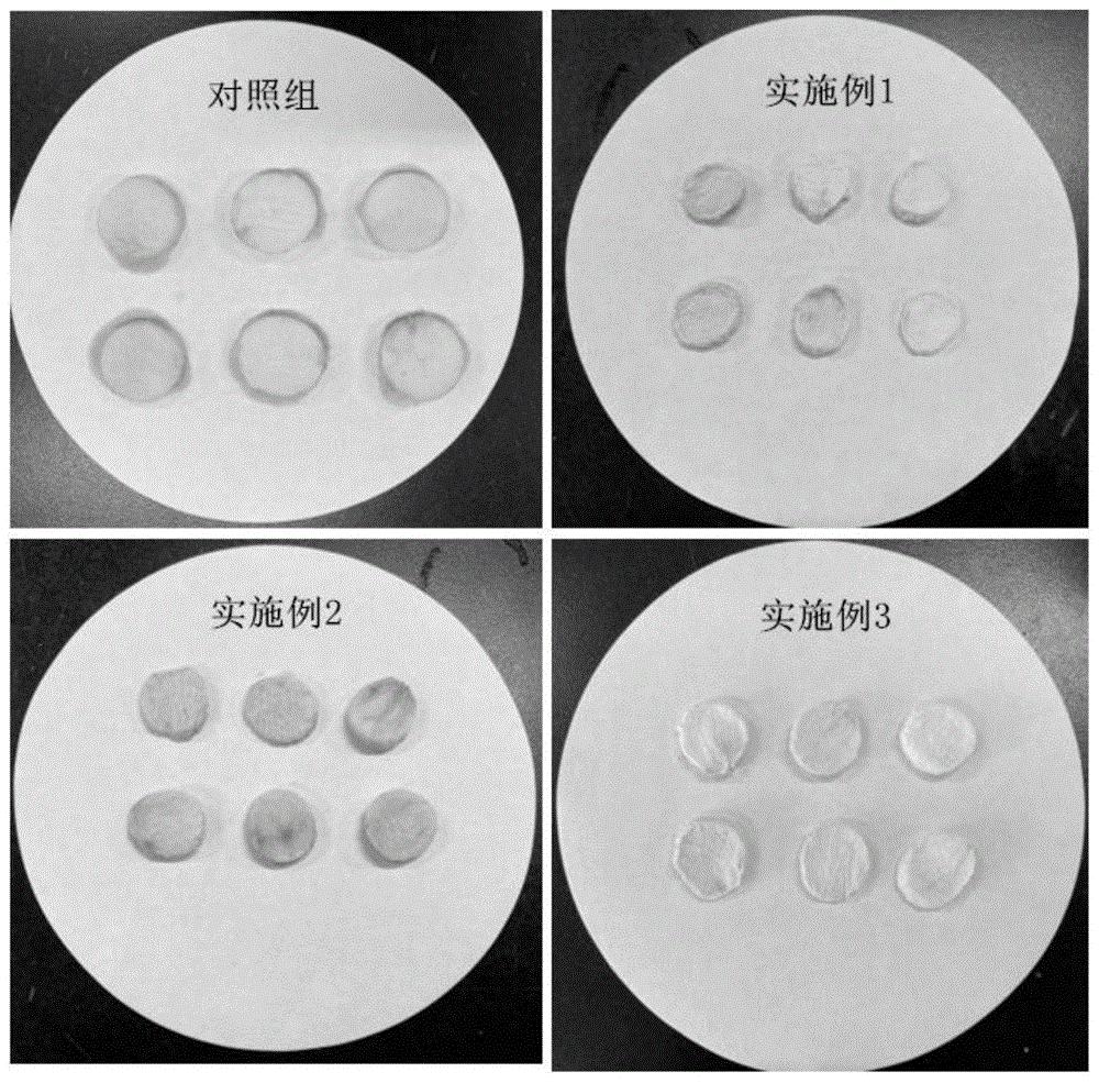 用于模拟体系的苹果片固相基质的制备方法及其应用