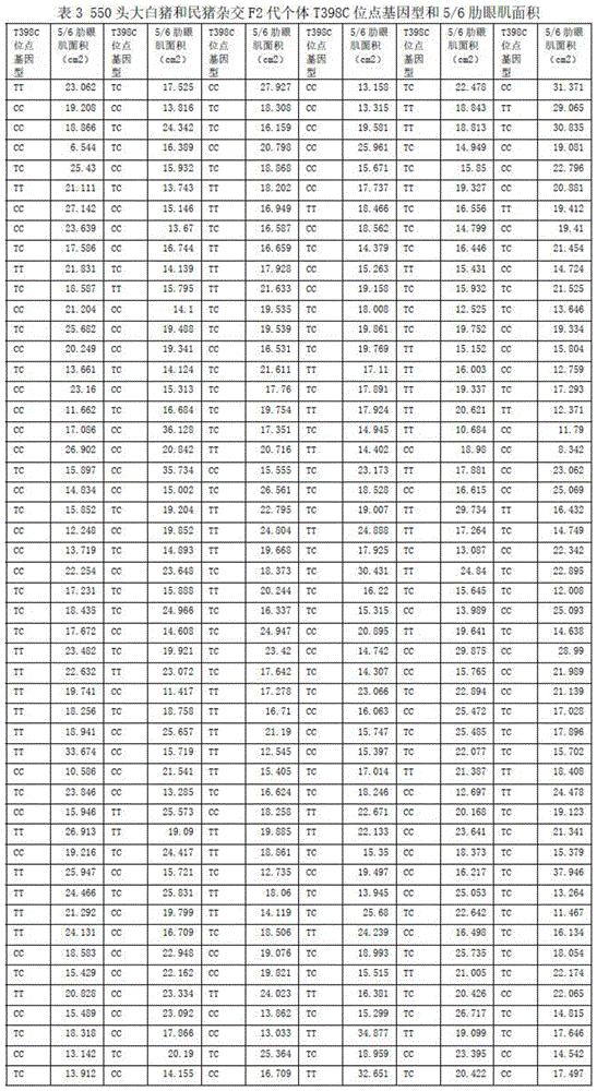 鉴定或辅助鉴定猪5/6肋眼肌面积的方法