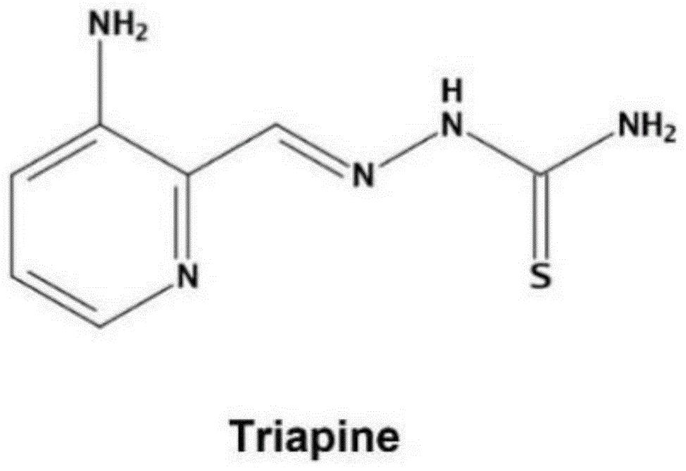 Triapine用于治疗非洲猪瘟病毒感染的应用