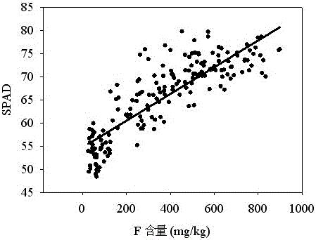 一种茶树鲜叶氟含量无损快速确定方法